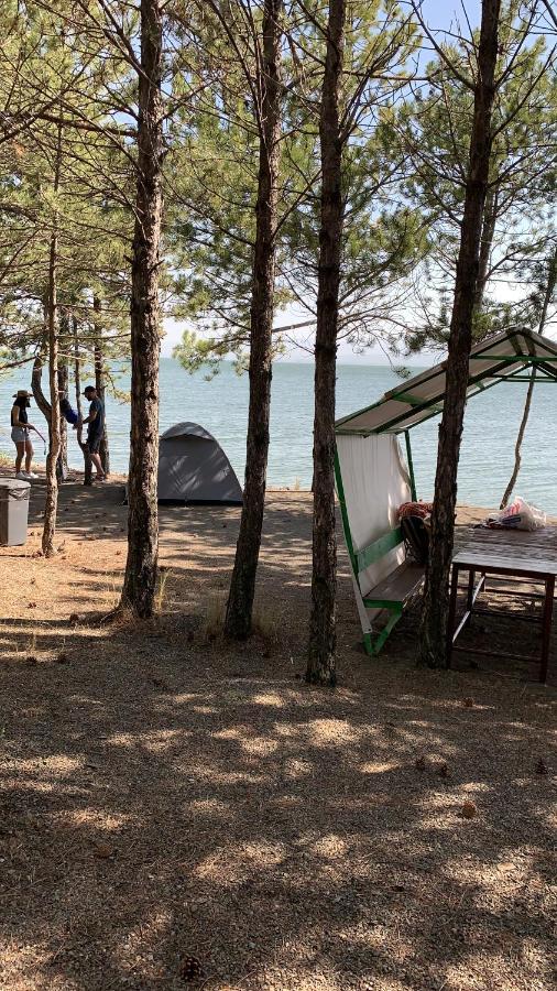 Zhayr Resort & Dive Drakhtik Екстериор снимка