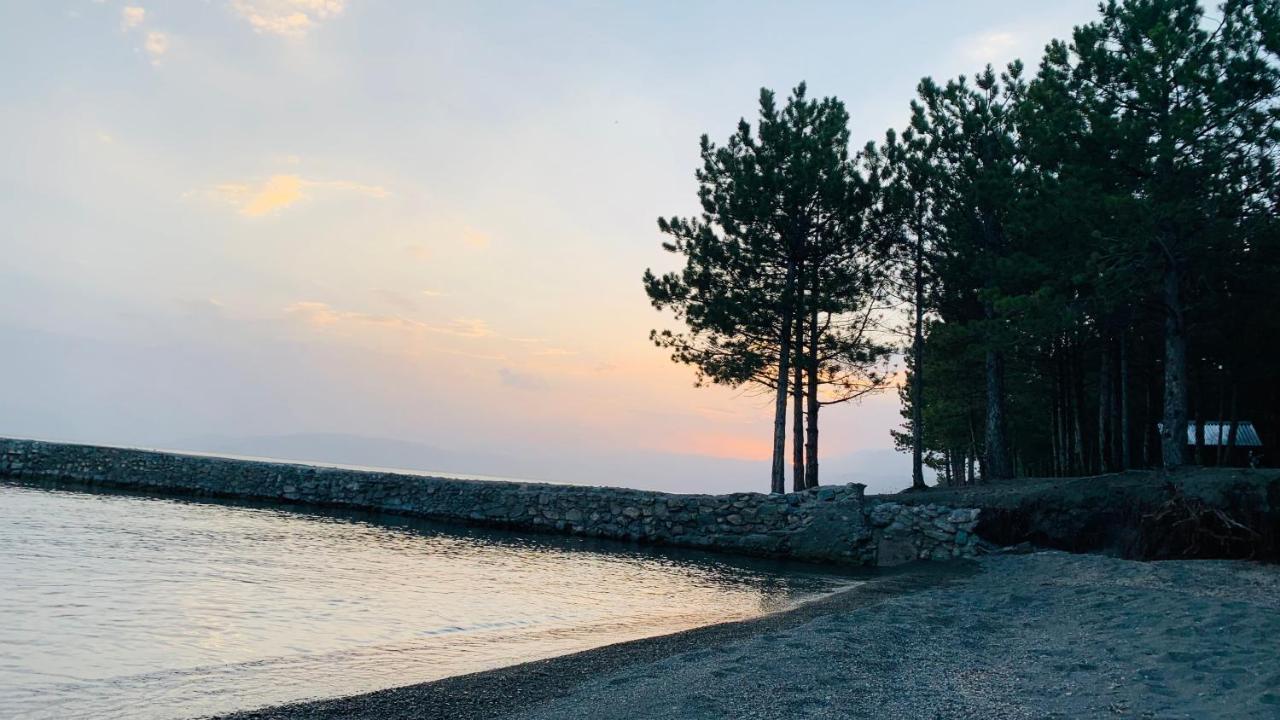 Zhayr Resort & Dive Drakhtik Екстериор снимка